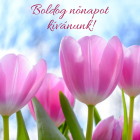 Boldog nőnapot kívánunk!