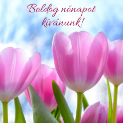 Boldog nőnapot kívánunk!