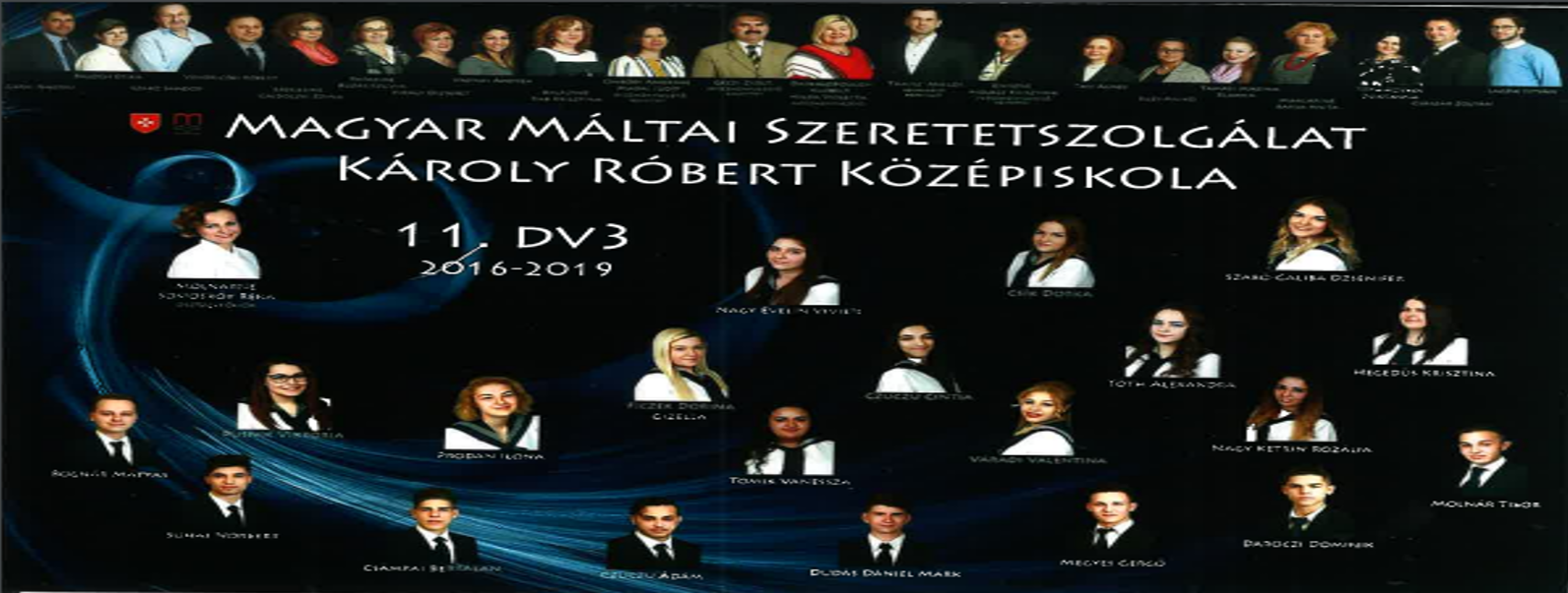 11DV3_2019.png